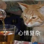 一起深夜落泪吧