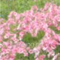 Meaning of love专辑