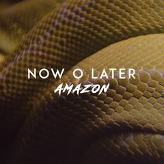 Amazon (Extended Mix)