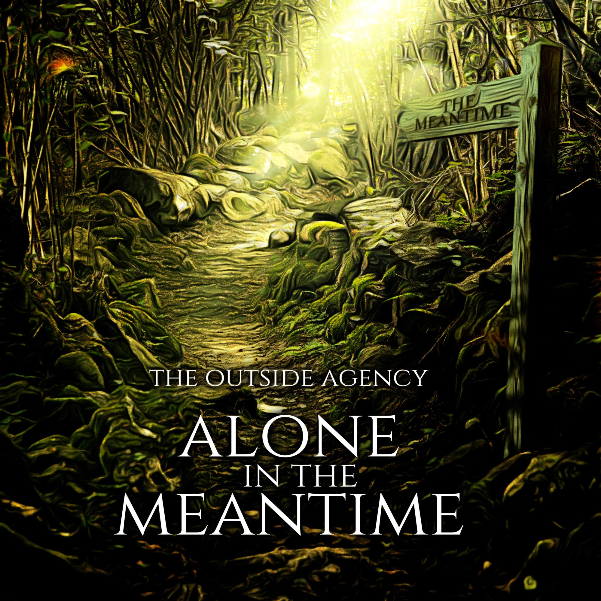Alone in The Meantime