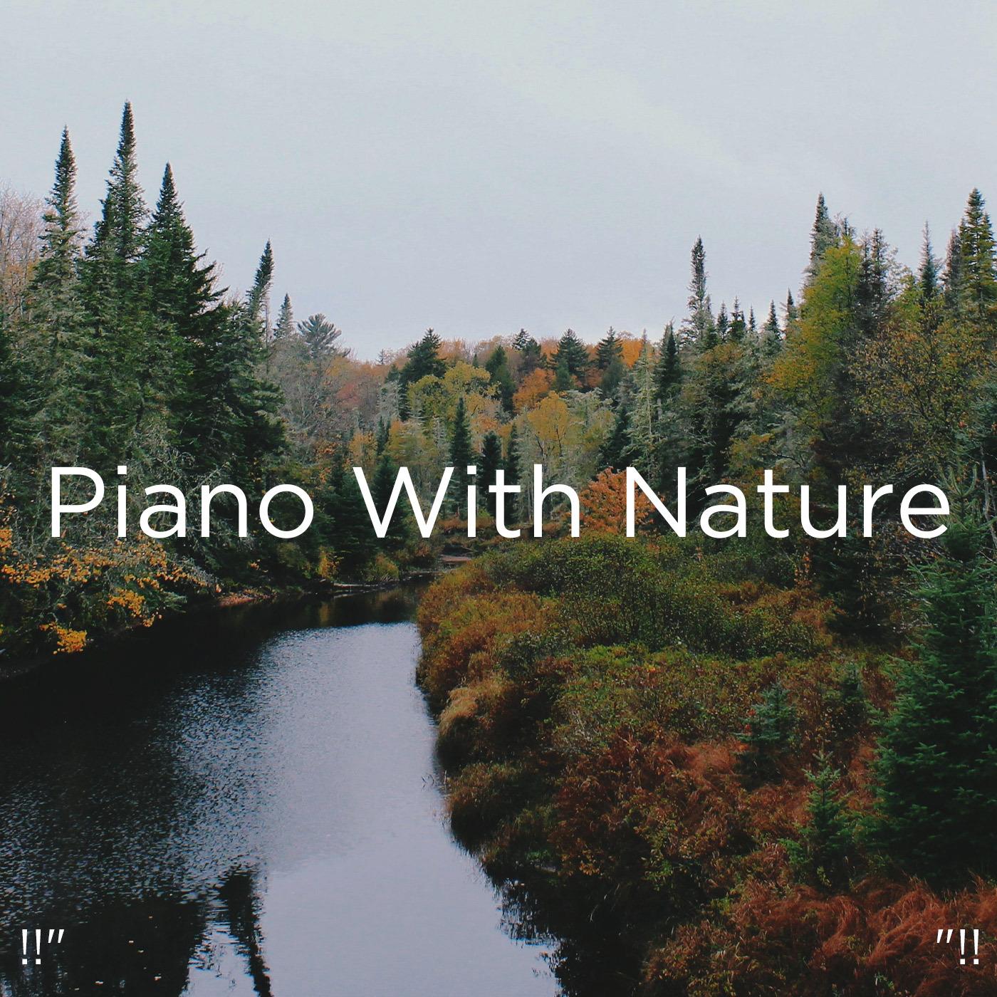 !!" Piano With Nature "!!