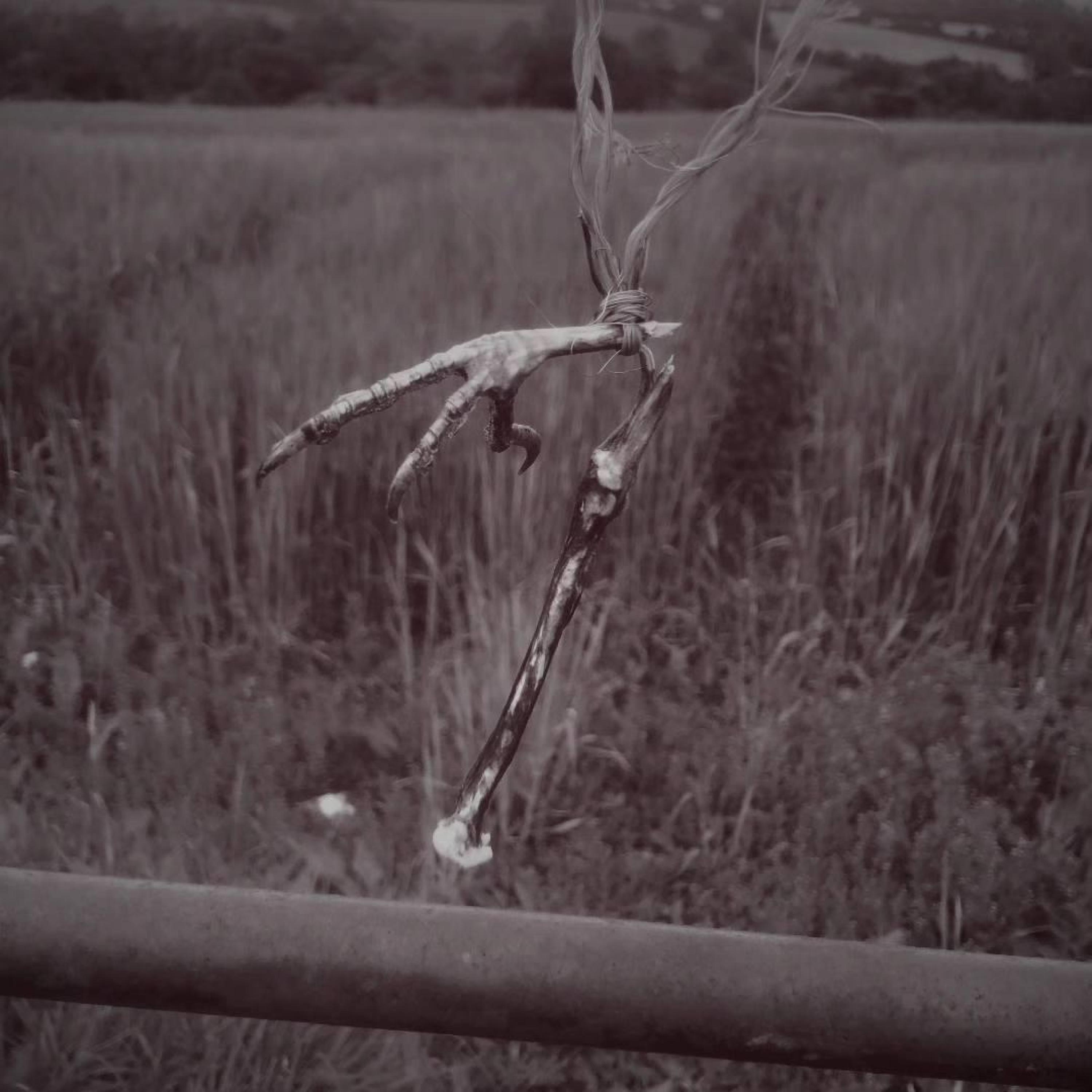 Upon the Cold Stones