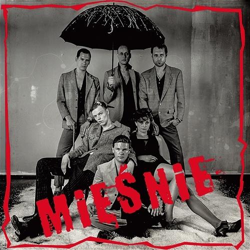 Miesnie