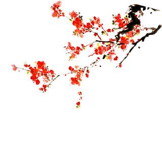 小班圆妹妹