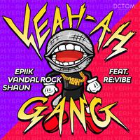 Electronic阿海 Vandals (Original Mix