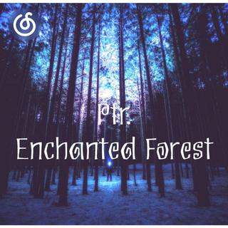寒潮精选|从《Enchanted Forest》听起