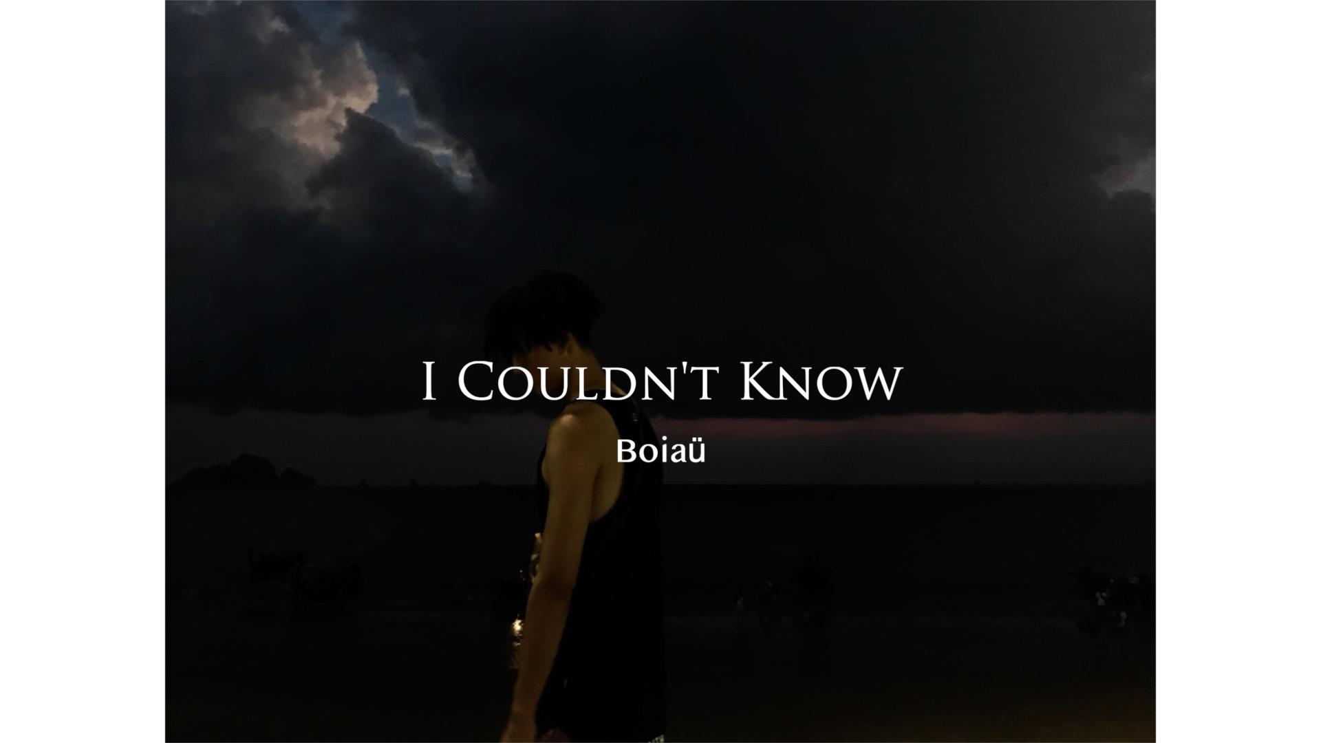 I Couldn't Know专辑
