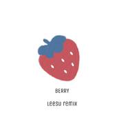 李佳隆-Berry（Leesu remix）