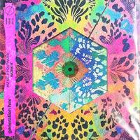 Avi Sic & Footwurk - Work It (Inst) 130