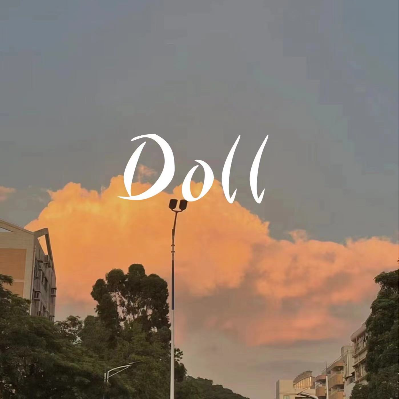 菲菲公主 - Doll(Dj阿情 ProgHouse Rmx 2024)
