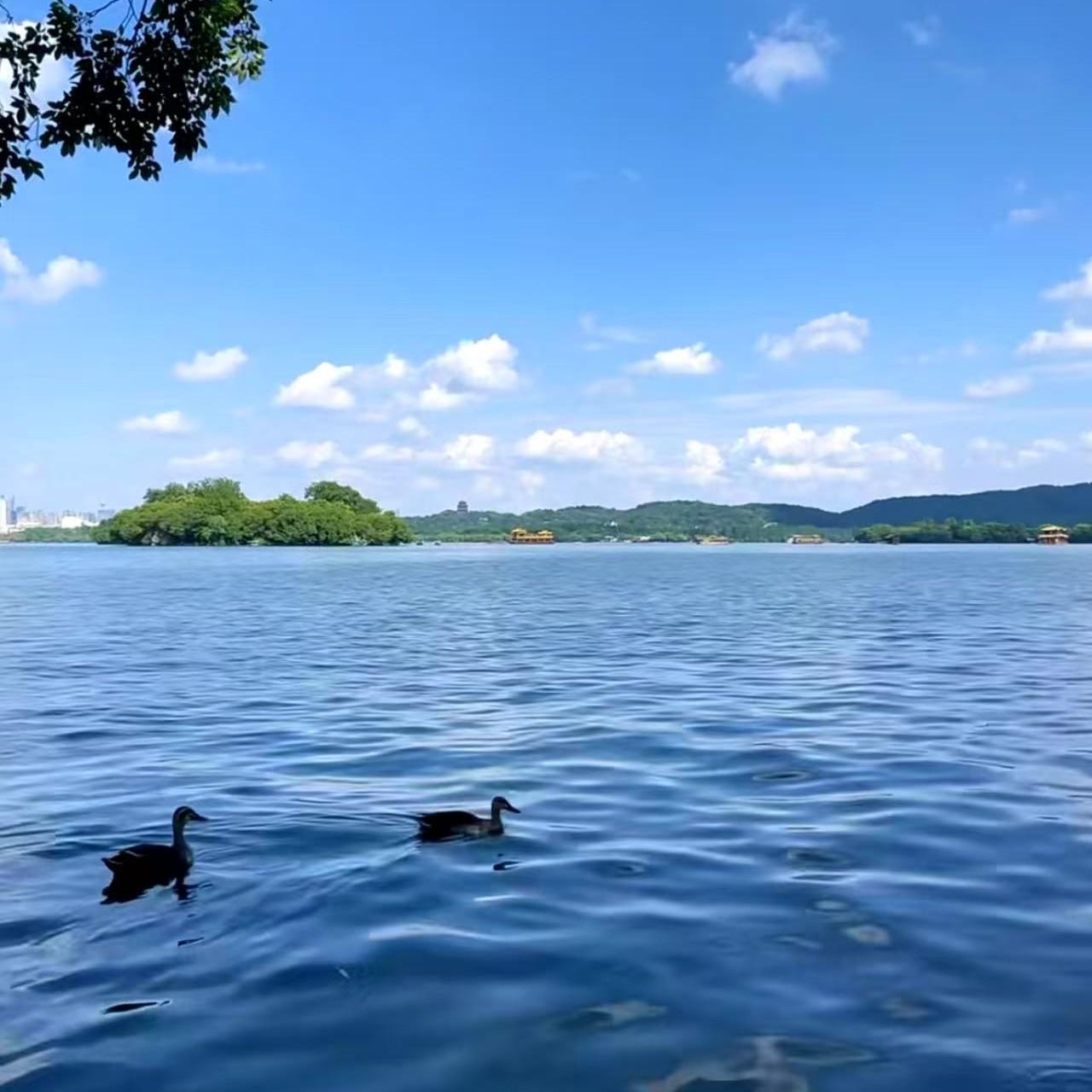 苏公堤2025 黄伊宁