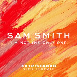 Sam Smith - I'm Not The Only One (PT karaoke) 带和声伴奏