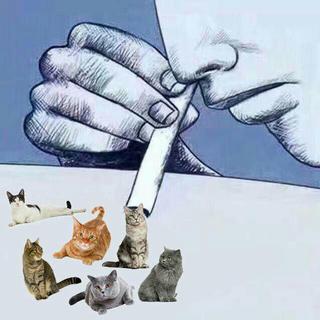 别看有的人表面风光，背地里一只猫都没有