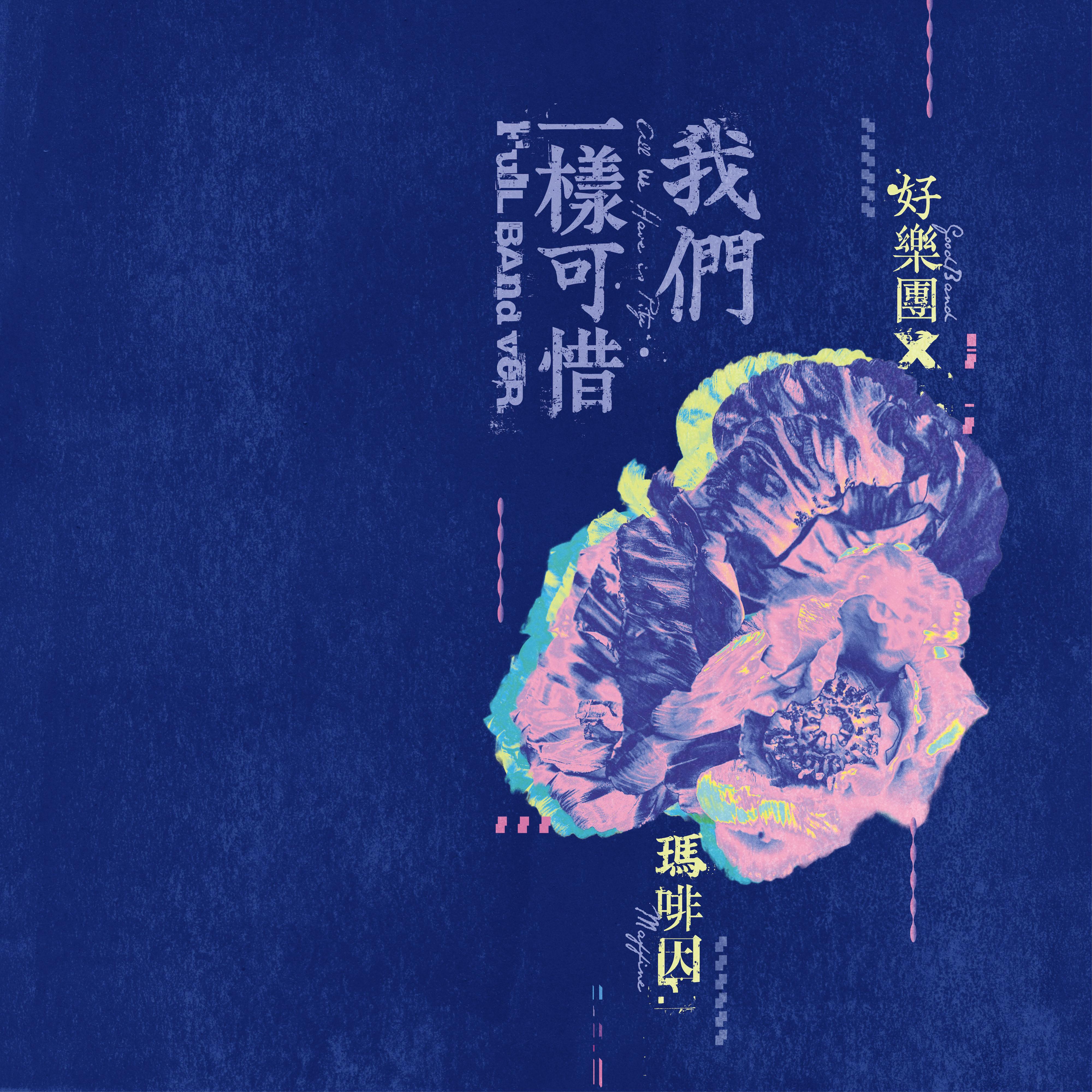 我们一样可惜 (feat. 玛啡因)