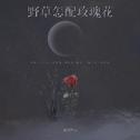 野草怎配玫瑰花专辑