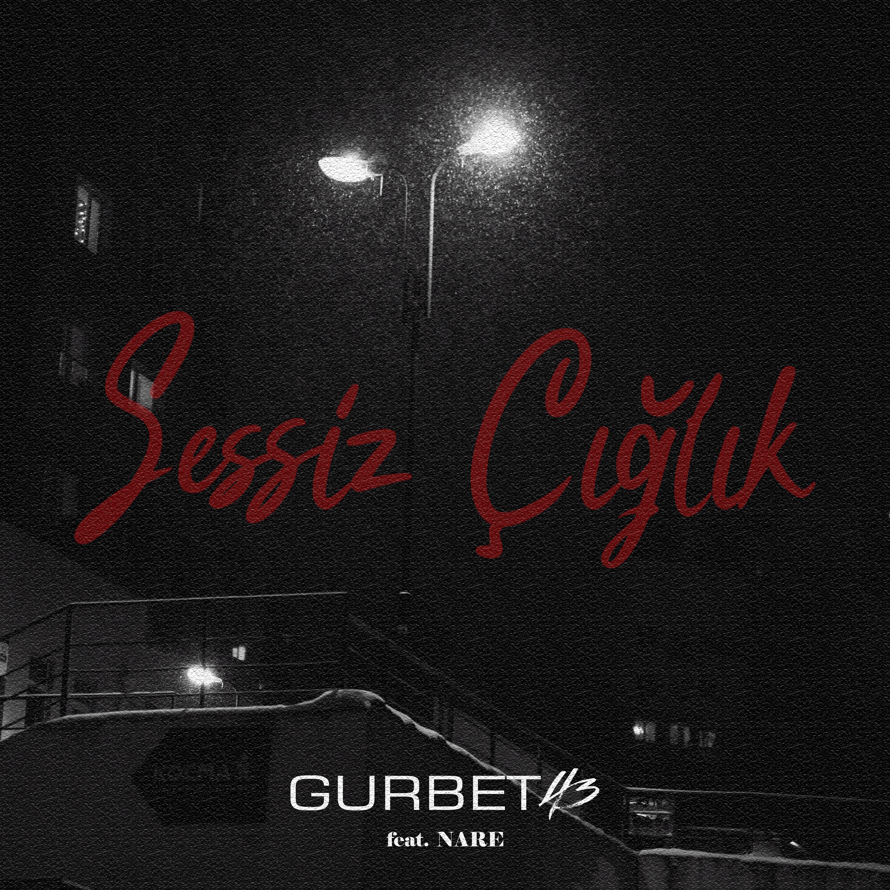 Sessiz Çığlık