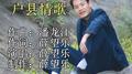 户县情歌王子专辑