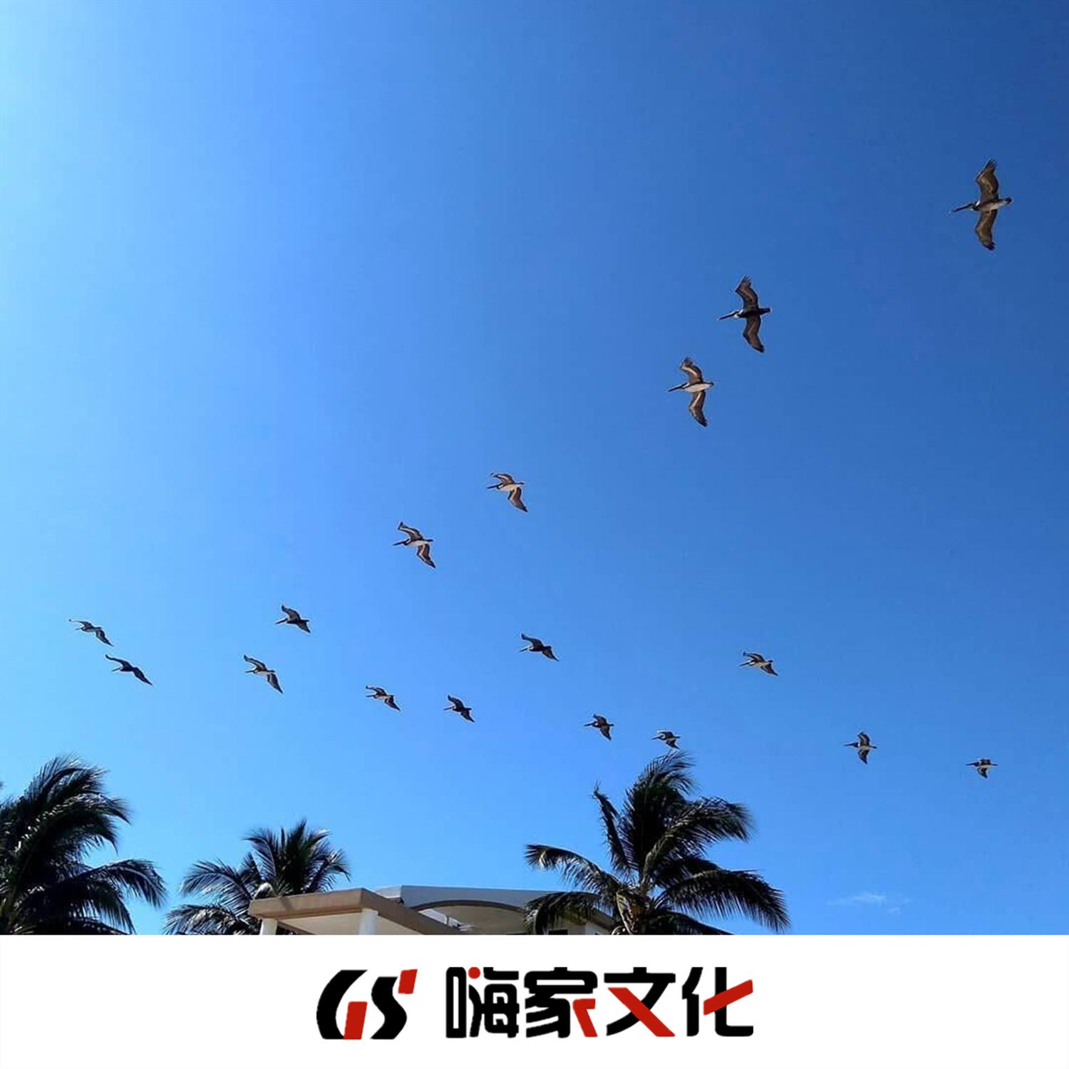 志同道合