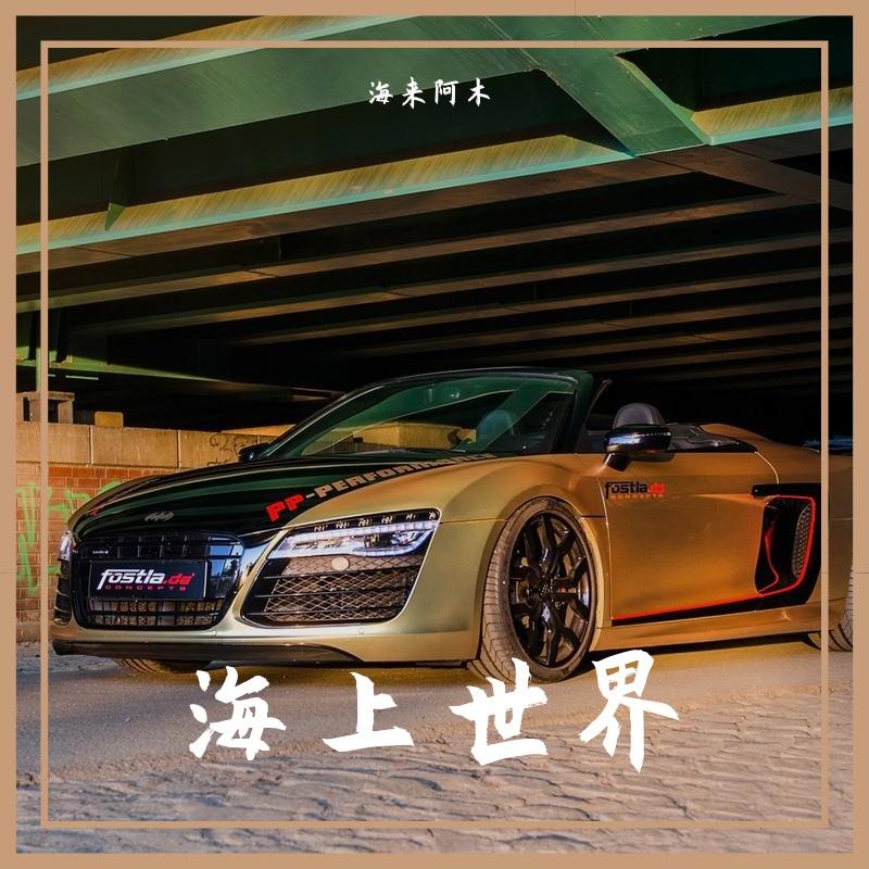 海来阿木-奈何岁月