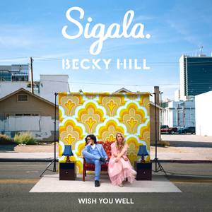 Sigala And Becky Hill - Wish You Well (Z karaoke) 带和声伴奏