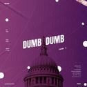 DUMB DUMB（덤덤）专辑