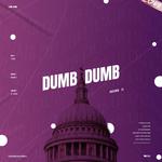 DUMB DUMB（덤덤）专辑