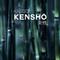 Kenshō专辑