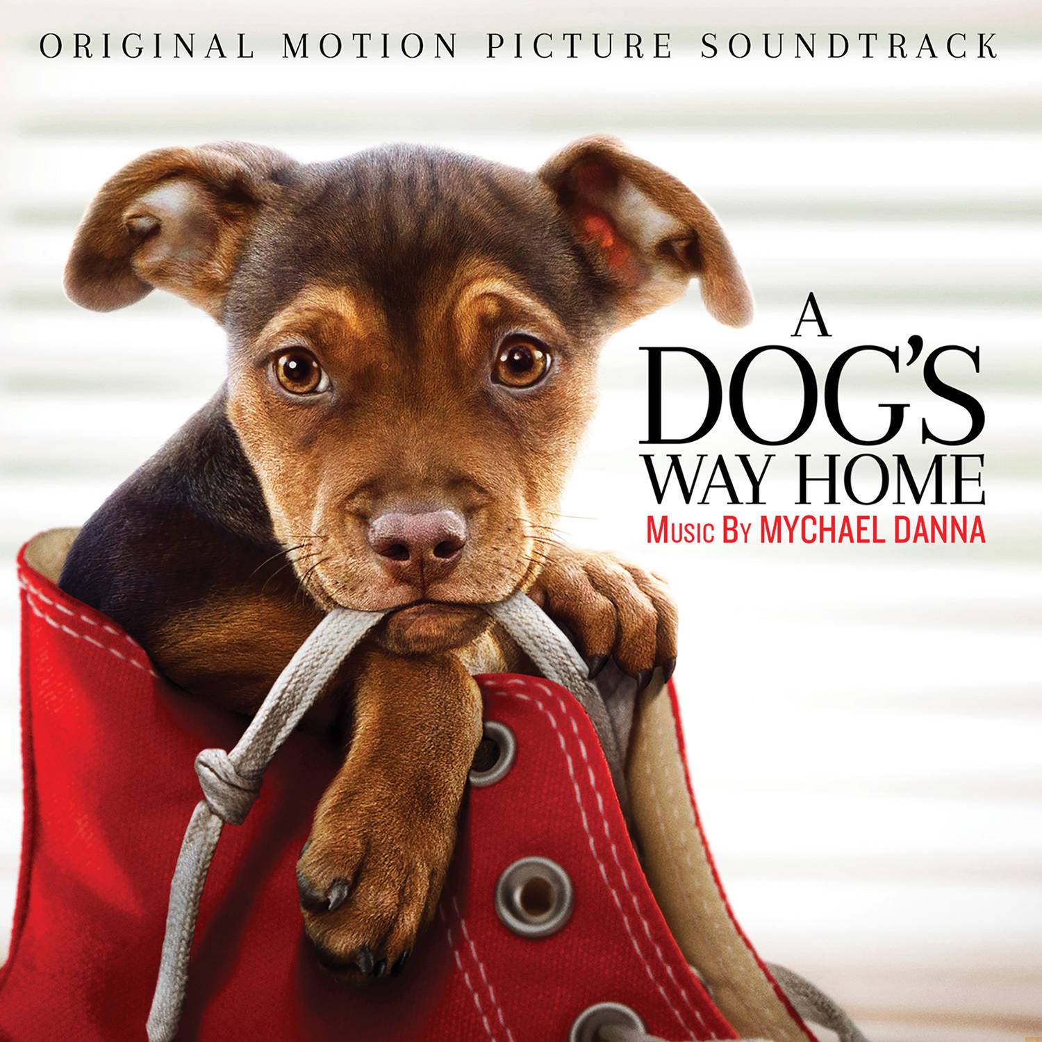 A Dog's Way Home (Original Motion Picture Soundtrack)专辑