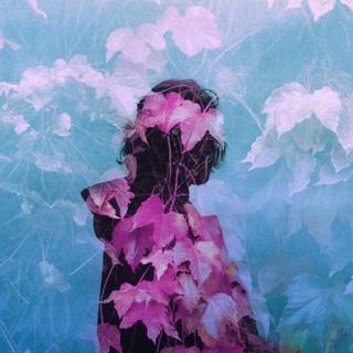 同名异曲|| 误入桃花源 沉醉不知归路