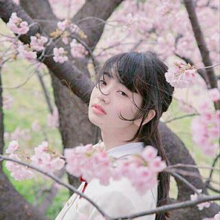 【日系温柔】你踏月而来，途经我的樱色日暮