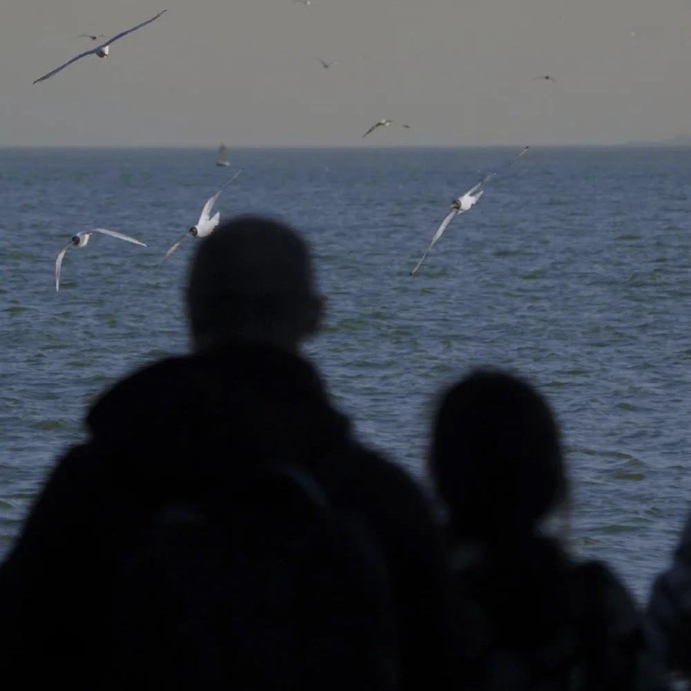 阿司匹林 王以太（慢）