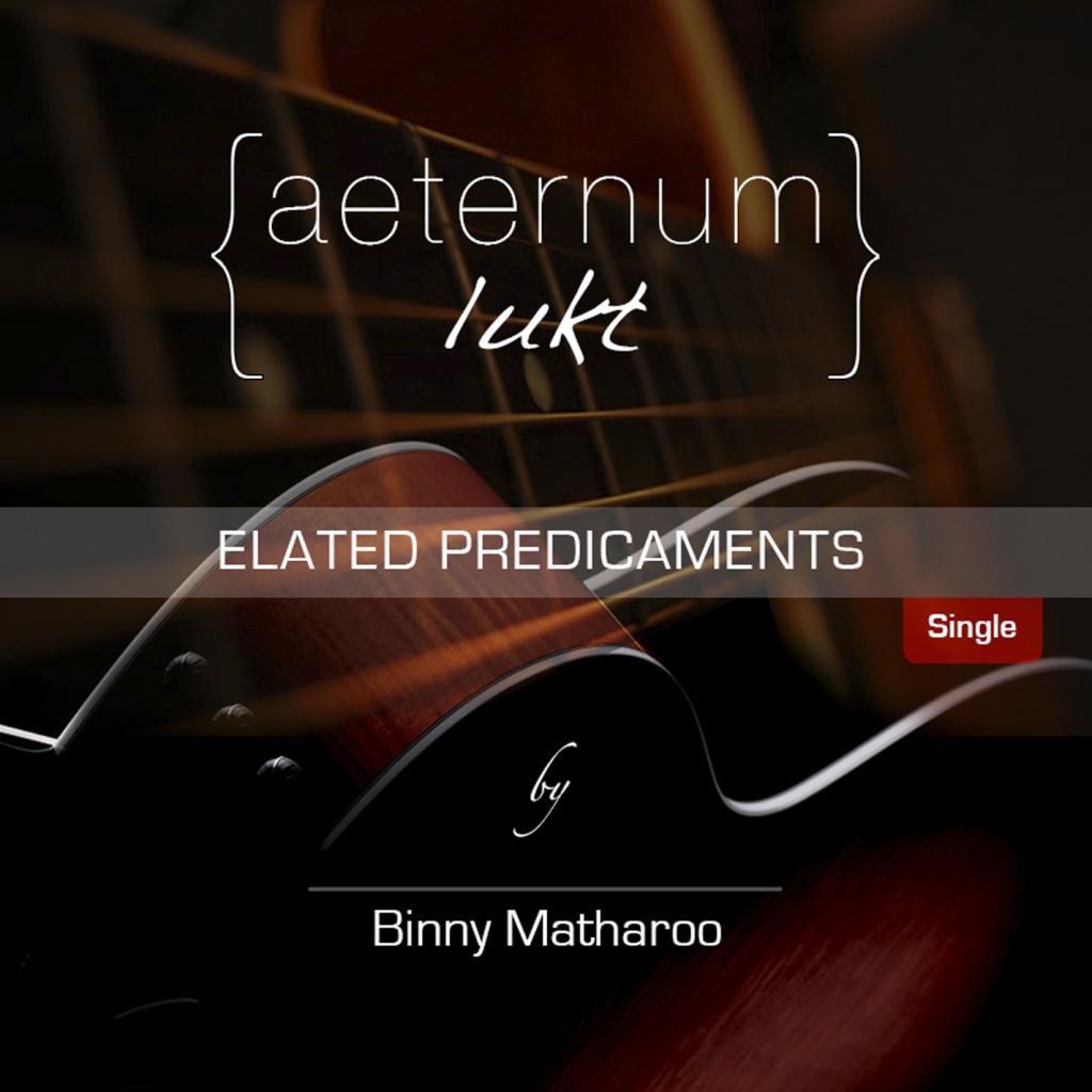 elated predicaments (elated predicaments (single))