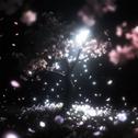 树生花专辑