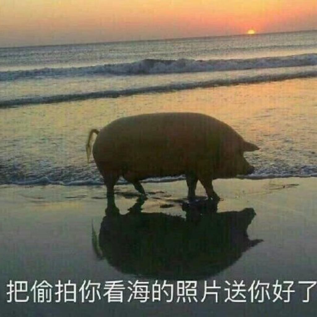 裂开之全体起立