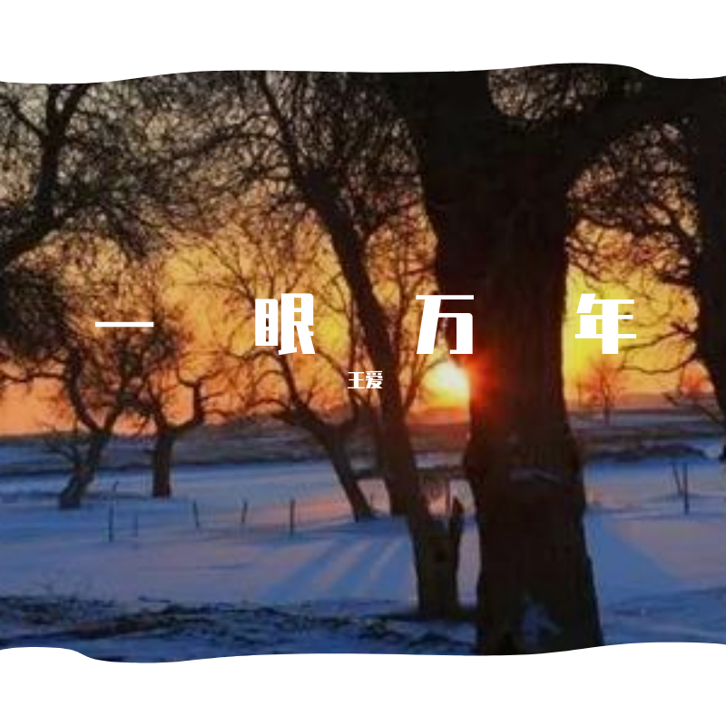 一眼万年