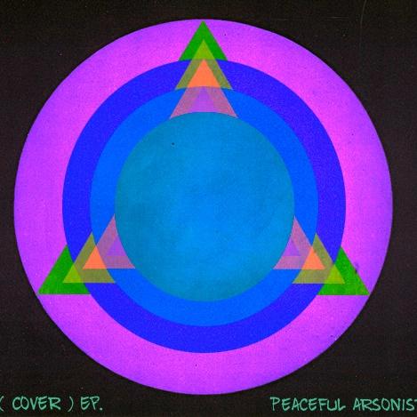 SuperFast Jelly Fish ( Cover ) prod.Gorillaz