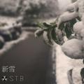 新雪