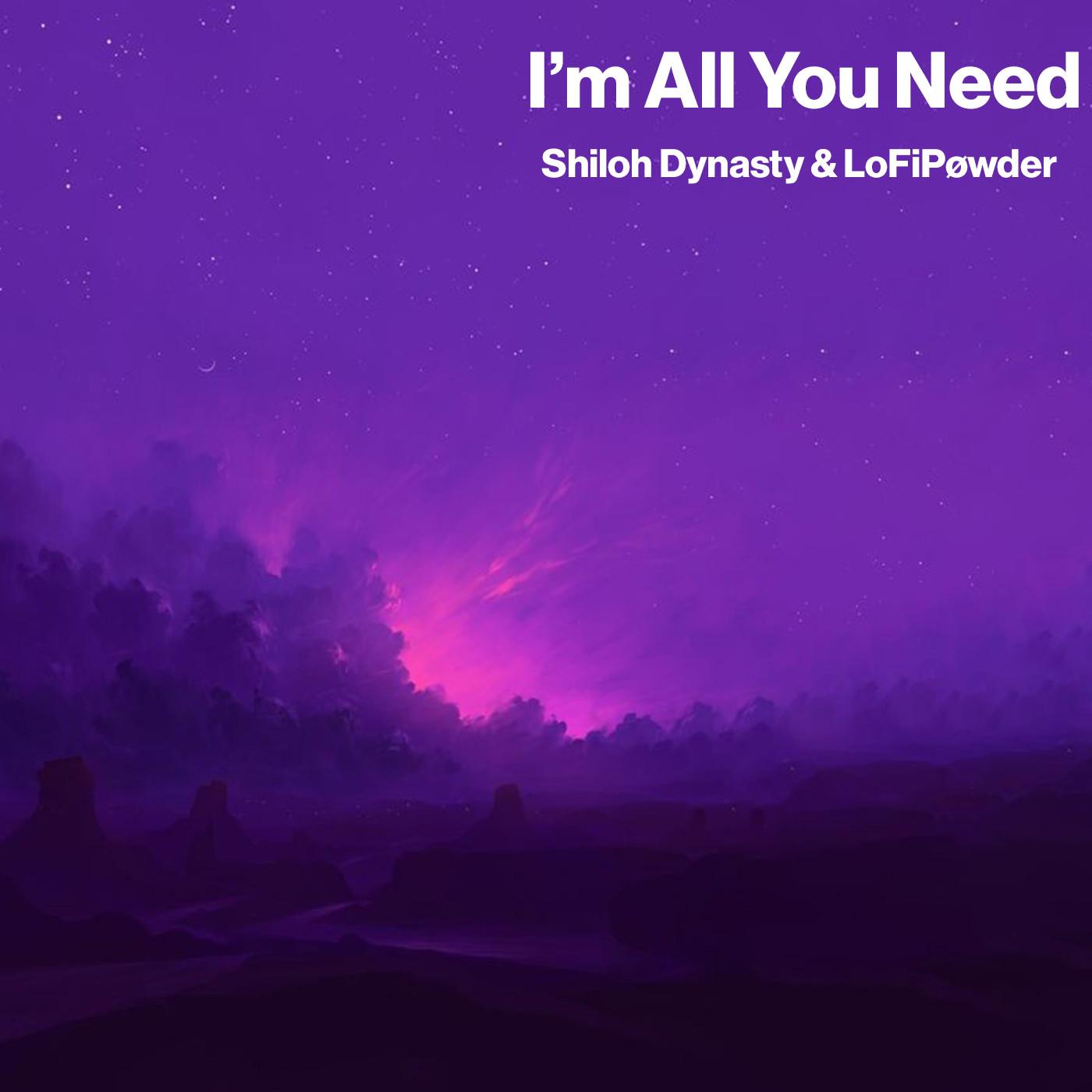 I'm All You Need
