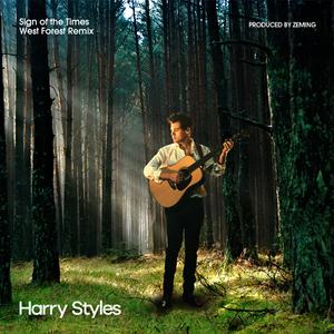 Harry Styles - Sunflower Vol.6 【Instrumental】 （升4半音）