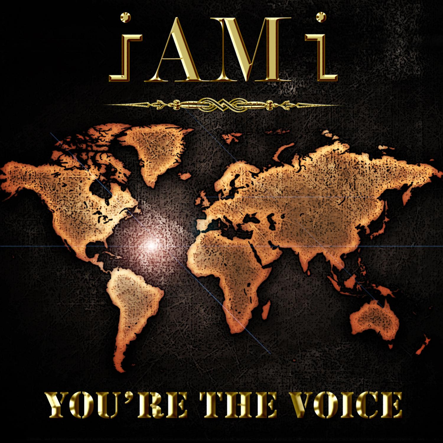 You're The Voice