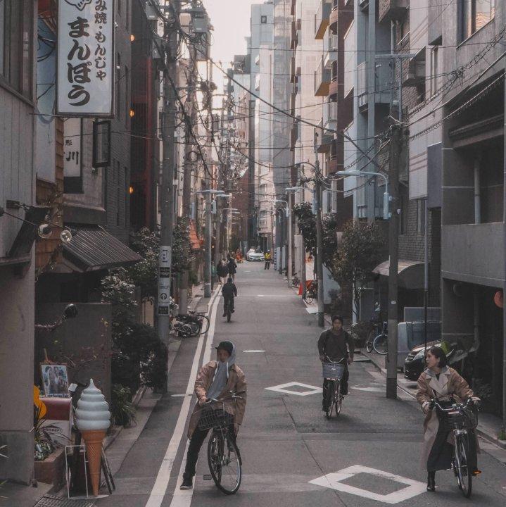 也许没有那么多的欢喜和不期而遇