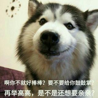 [搞事]那些脱离名字但又超好听的歌