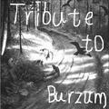 Tribute To Burzum