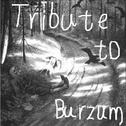 Tribute To Burzum专辑