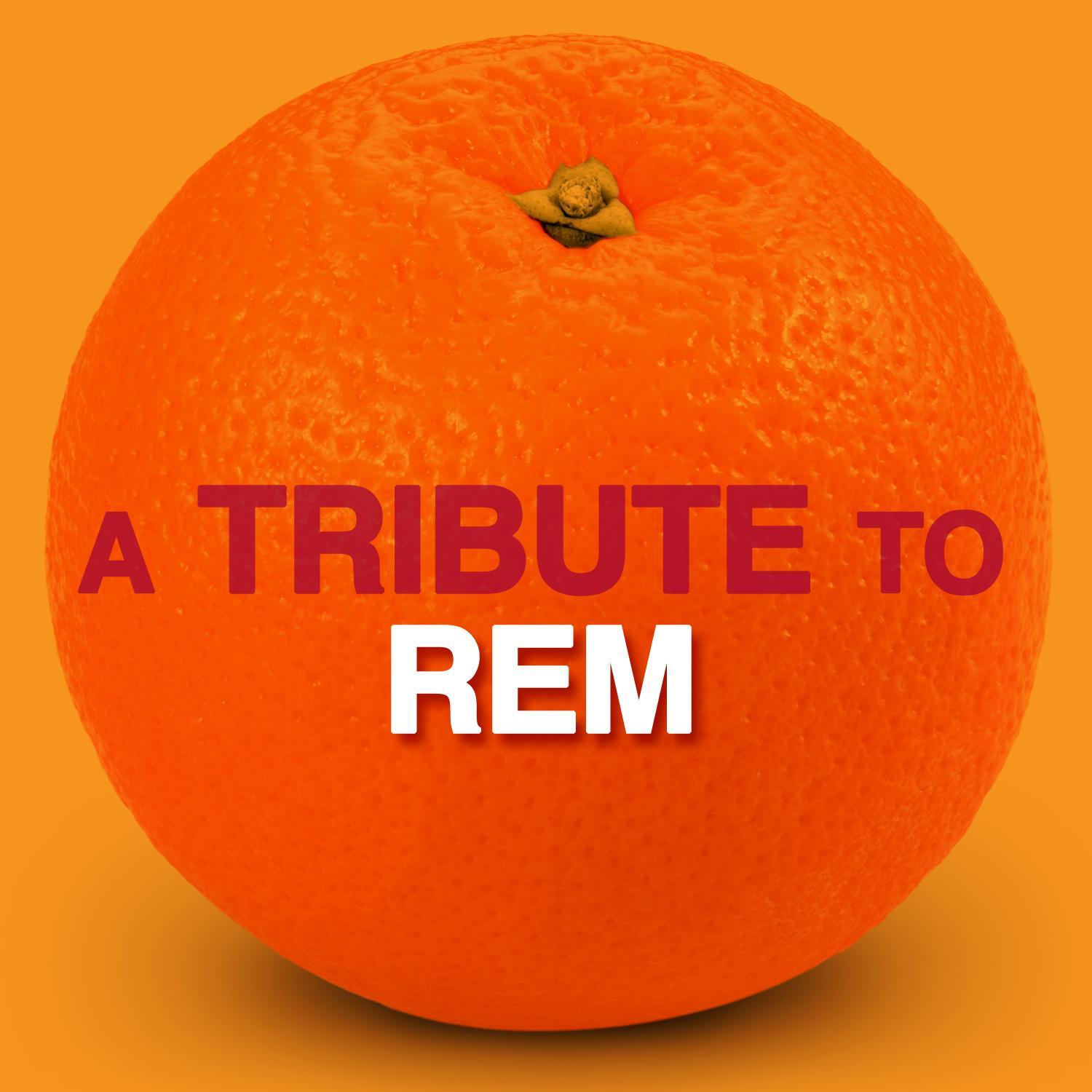 A Tribute to REM
