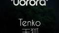 Tenko专辑