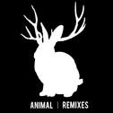 Animal (Mark Ronson Remix)专辑