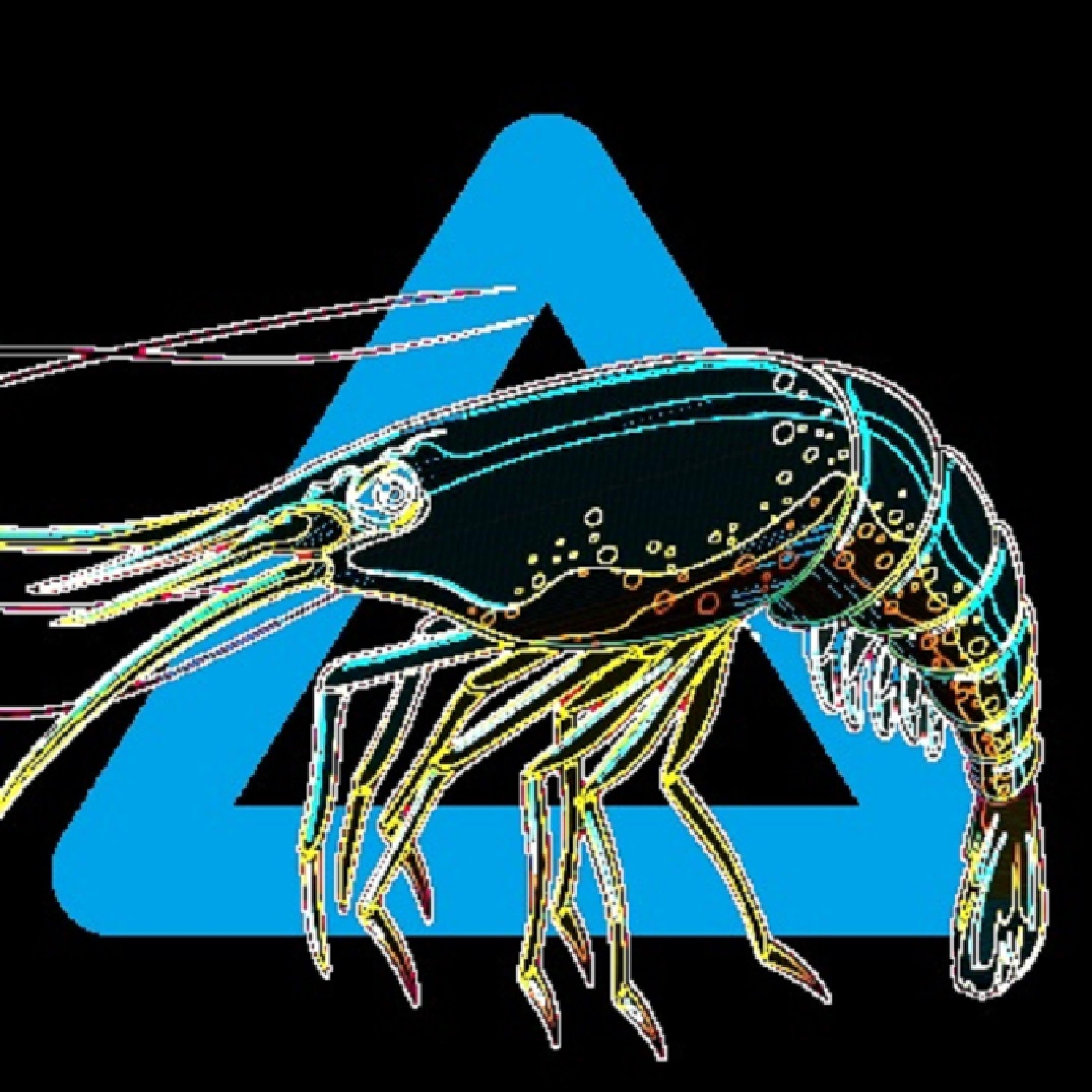 Adverse Prawn