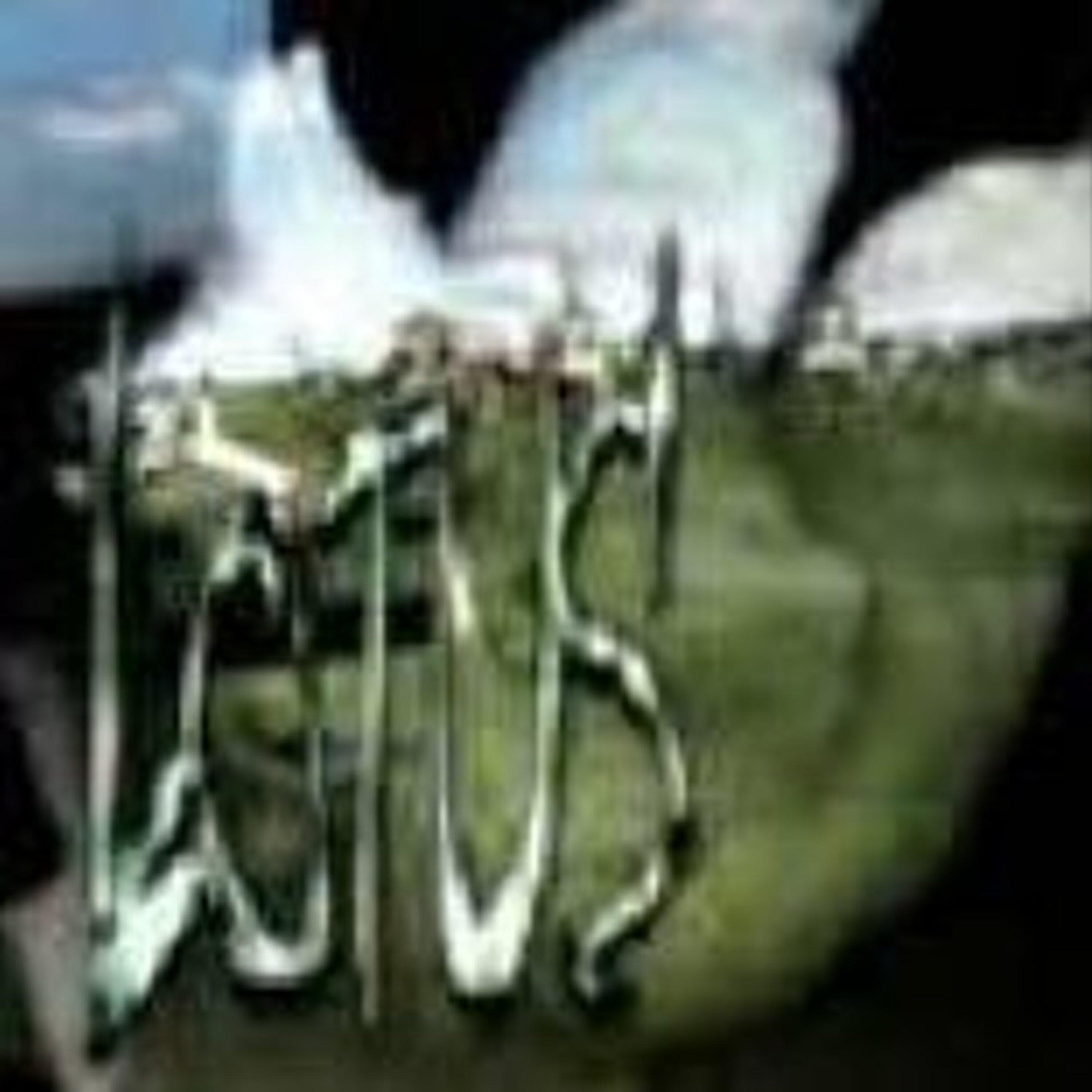 不幸的是，我的生活一直在走下坡路。 …ᘛ⁐̤ᕐᐷ。你將無法閱讀它