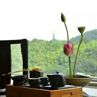 茶香飘韵，雅致清音。『茶室纯音』